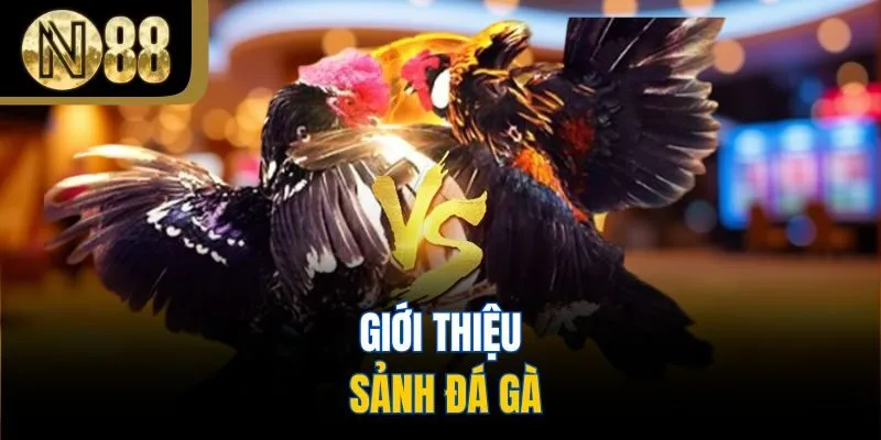 Giới thiệu sảnh đá gà