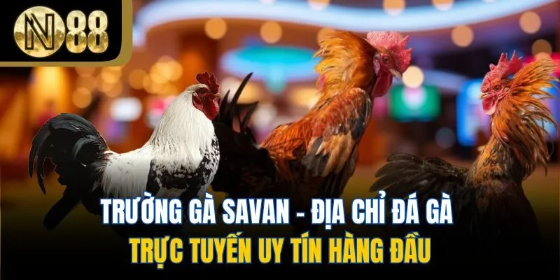 Trường Gà Savan - Địa Chỉ Đá Gà Trực Tuyến Uy Tín Hàng Đầu